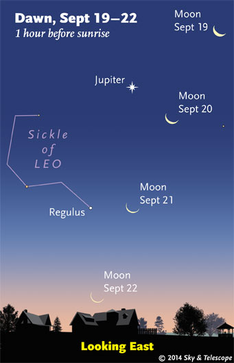 This Week’s Sky at a Glance, September 19–27