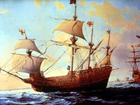 Scientists prove ship’s dog on the doomed Mary Rose was male