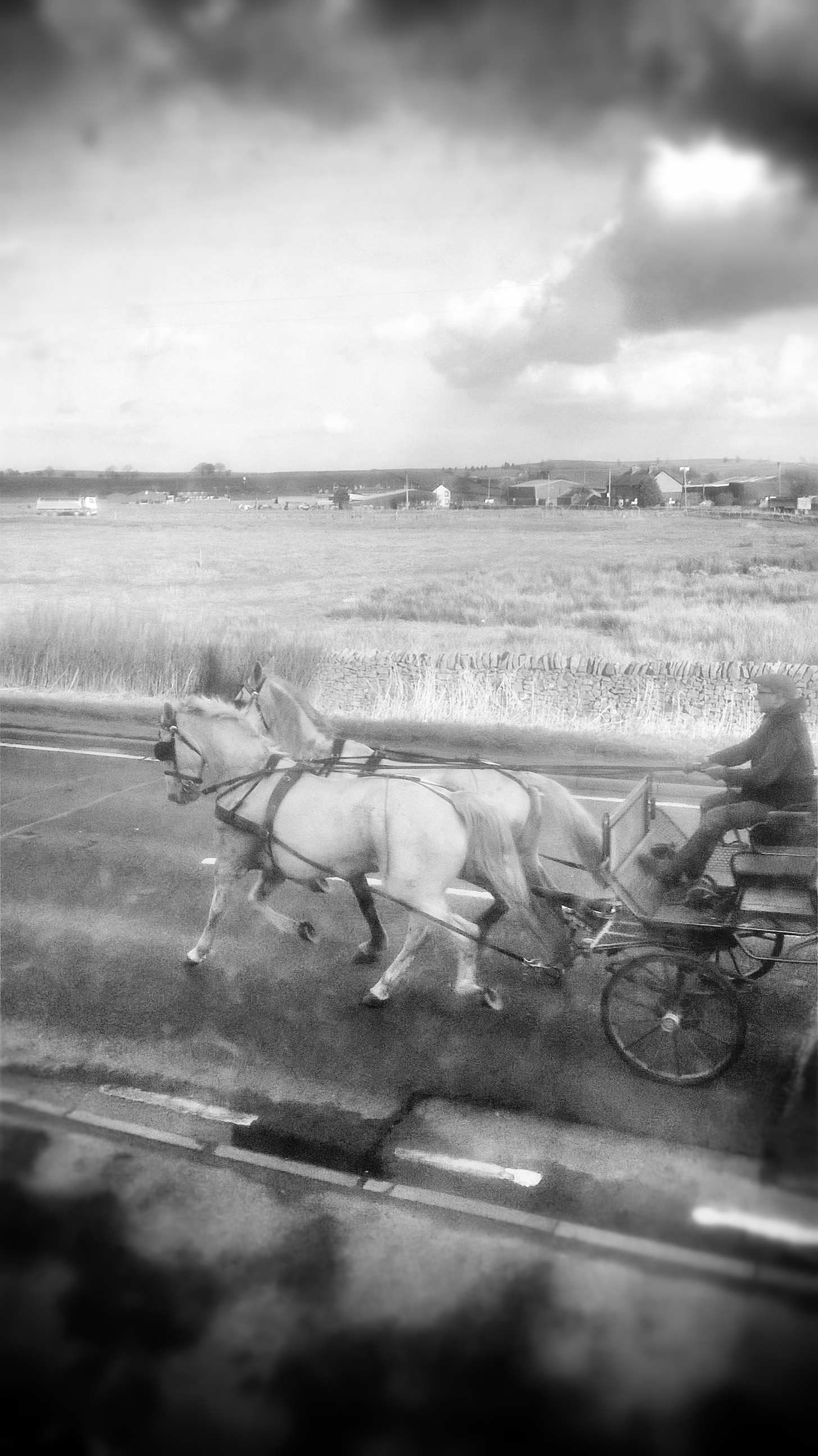 Tales of ghostly horses recorded near and far