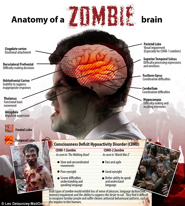 The science of ZOMBIES and how to avoid becoming their dinner