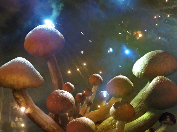 Can Mushrooms Treat Depression?