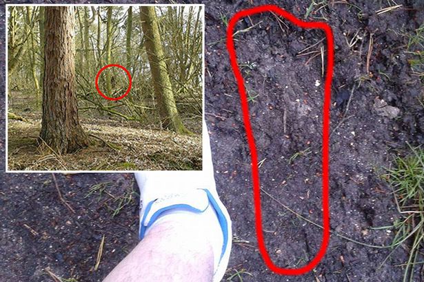 Is Bigfoot in Britain? Mysterious figure lurking in Lincolnshire woods is claimed to be mystery beast