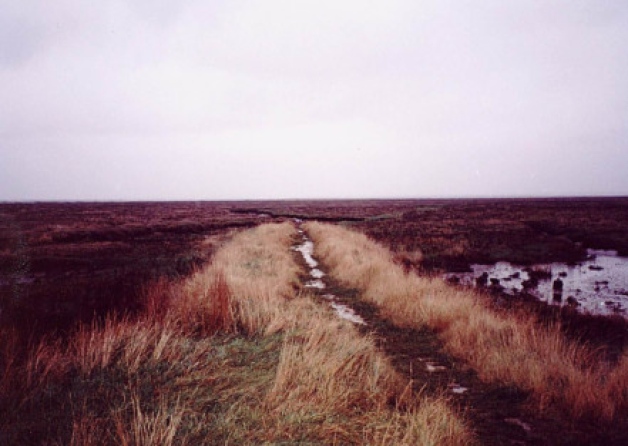 Book aims to shed light on mystery of King John’s treasure