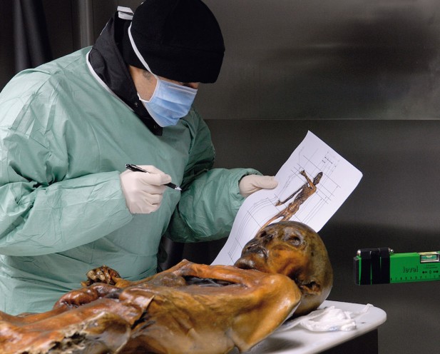 Scan finds new tattoos on 5300-year-old Iceman