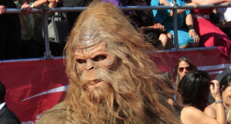 Spoiler: That really wasn’t ‘Sasquatch’ on an Arizona highway on New Year’s Day