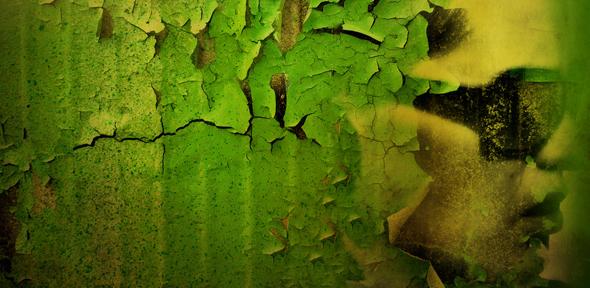 Recalling memories may make us forget