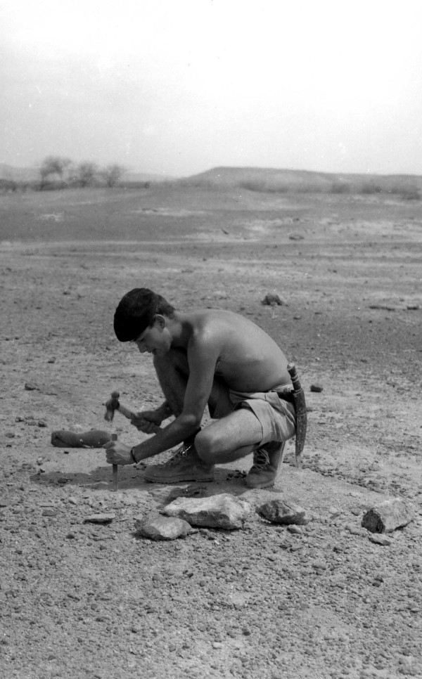 Beaked whale reveals Africa’s tectonic secrets