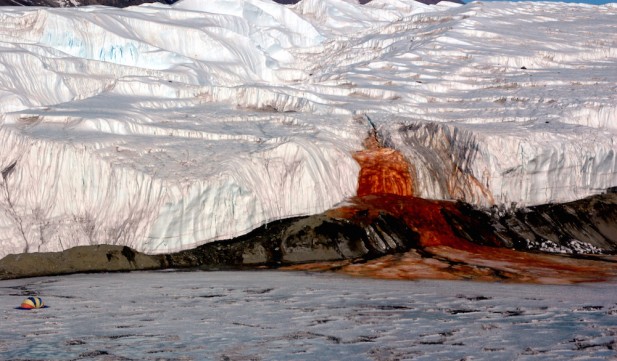 What’s in Antarctica’s Blood Falls?