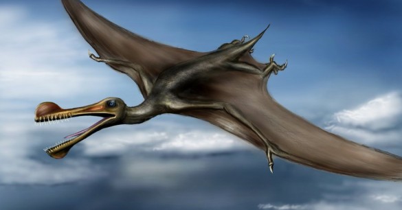 Pterosaurs of the Ghostly Kind