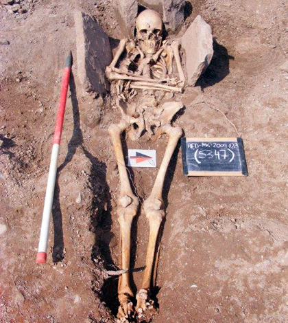 Archaeologists find remains of French-born wounded Norman knight near Hereford Cathedral
