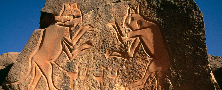 African rock art image project