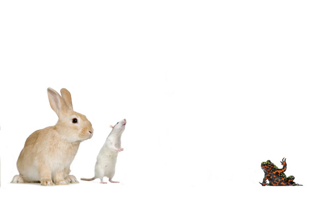 9 Historical Methods of Detecting Pregnancy