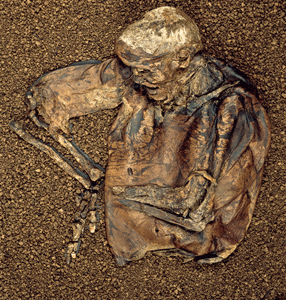 Bog Bodies Rediscovered