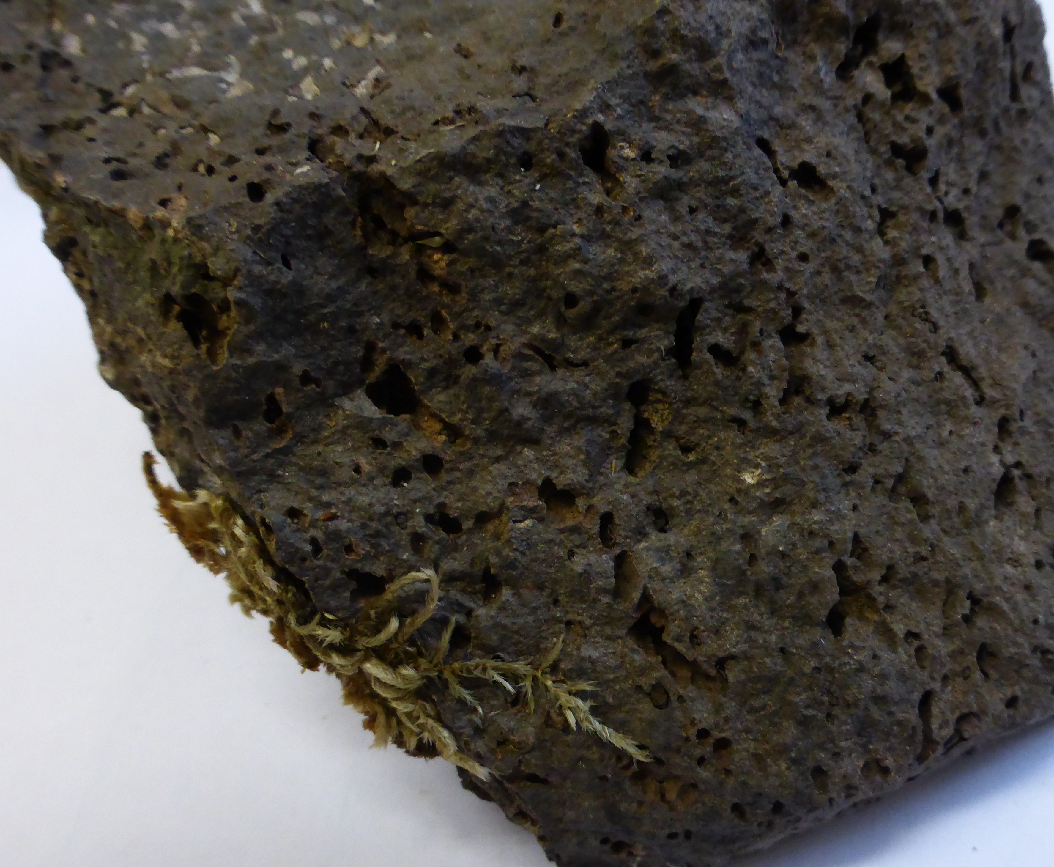 Lava in the landscape