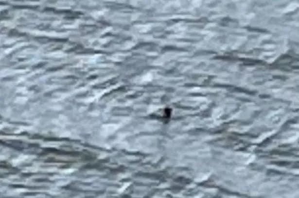 Loch Ness Monster ‘spotted’ for first time in 2024 as family snap ‘compelling’ photo.