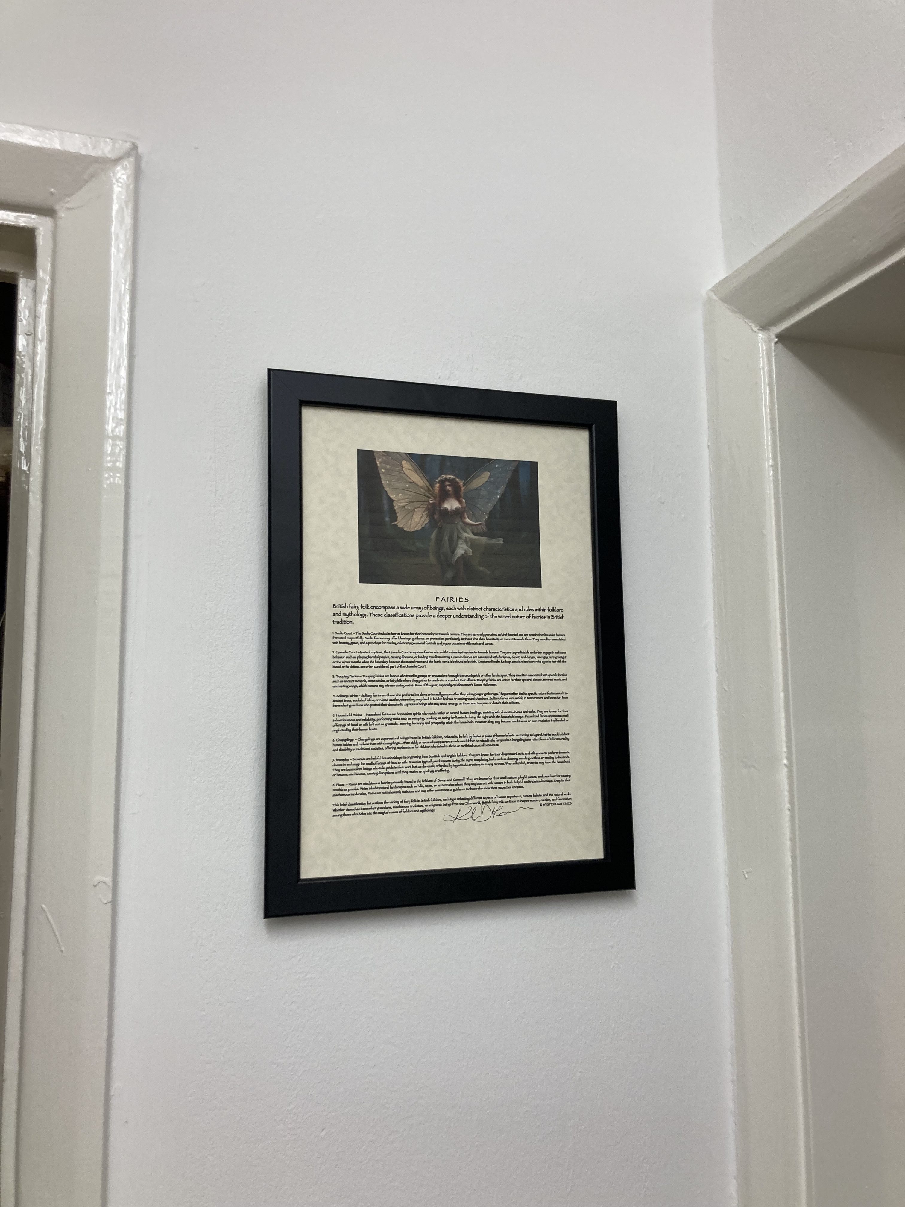 Printed & Framed Articles Signed by the Authors